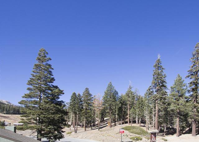 Austria Hof Lodge Mammoth Lakes Exterior photo